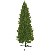 Green Slim Spruce Christmas Tree
