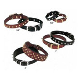 Spike's 1" Double-Ply Collar
