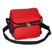 Insulated Bag Cooler