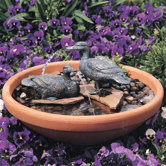 Duck Pair Fountain