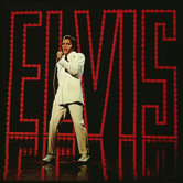 Elvis Presley TV Special Wall Art