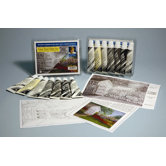 Prima Acrylic - Seven 37ml Tube Value Set, Gray Tone (Grisaille)