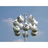 Super Gourd-Crescent Hole Bird House