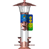 Radiant Seed Feeder