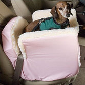 Lookout I Pet Car Seat in Pink