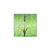 Cattail Wire Mesh Ground Stake Feeder