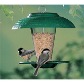 Snack Bar Bird Feeder