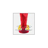 Hummingbird Feeder - 16 Oz.