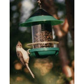 Chickadee Feeder