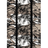 Kelohonka Curtain