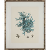 Turquoise Coral III Art
