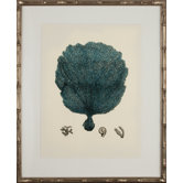 Turquoise Coral II Art