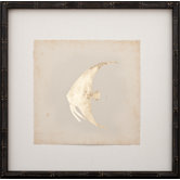 Gold Leaf Fish II Art