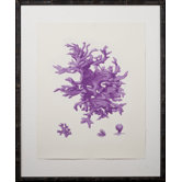 Purple Coral Giclee I Art