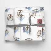 Vintage Sports Sheet Set