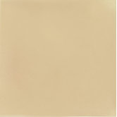 Hand-Painted Ceramic 6" x 6" Glazed Field Tile in Crema