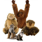 Monkey Stuffed Animal Collection III