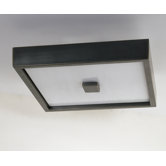 Doughnut Flush Mount