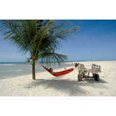 Paradiso XXL Hammock in Terracotta