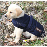 Breathable Waterproof Dog Rain Coat