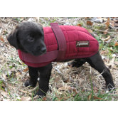 Quilted Dog Coat
