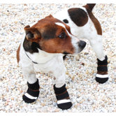 Dog Boots