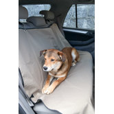 Canine Car Companion