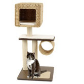Cat Trees & Scratchers