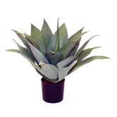 Artificial Agave Plant