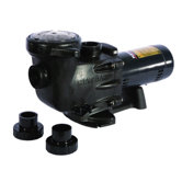 2800 Series Max Flo Pump