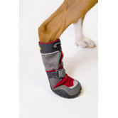 Bark'n Boots Polar Trex Dog Boot in Red Rock