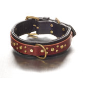 Maggie Overlay Dog Collar