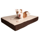 Triple Support Orthopedic Dog Bed