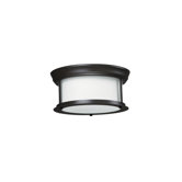 Sonna 2 Light Flush Mount