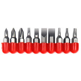 10 Piece Bit Set