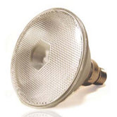 PAR38 120W Halogen Equivalent Bulb