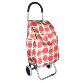 Shopping Trolleys
