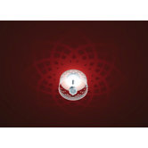 Shining Paris Wall/Ceiling Light