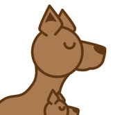 Animals Kangaroo Painting