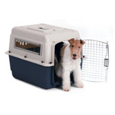 Dog Crates & Kennels