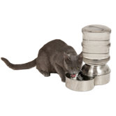Stainless Steel Replendish Small Pet Water Dispenser