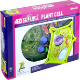 4D-Science Plant Cell Anatomy Model