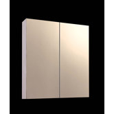 Dual Door Medicine Cabinet