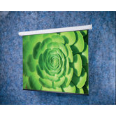 Claridge Products Electric Screens