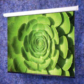 Perla Electric Screen