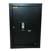 Biometric Hidden Wall Safe
