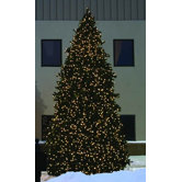 Grand Teton Commercial Artificial Christmas Tree