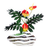 Floral Anthurium