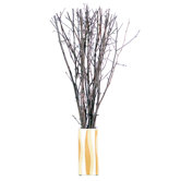 Floral Birch Twigs