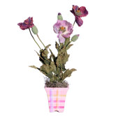 Floral Plaid Poppies